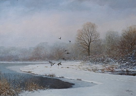 Snowlandscape with ducks