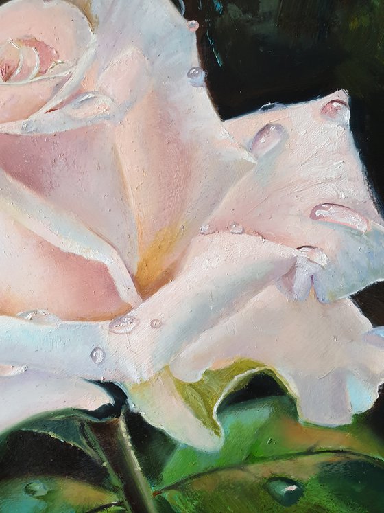 "Tears of a rose."  rose flower  liGHt original painting PALETTE KNIFE  GIFT (2020)