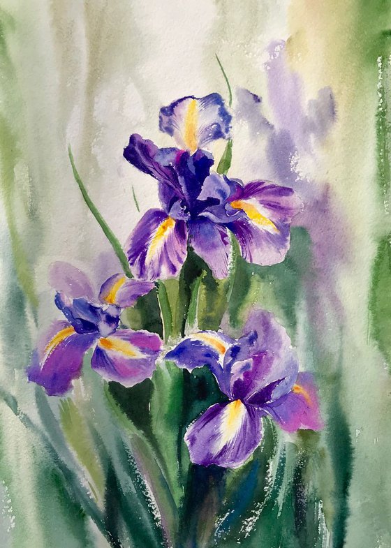 Irises