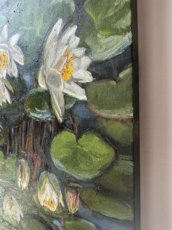 Water lilies