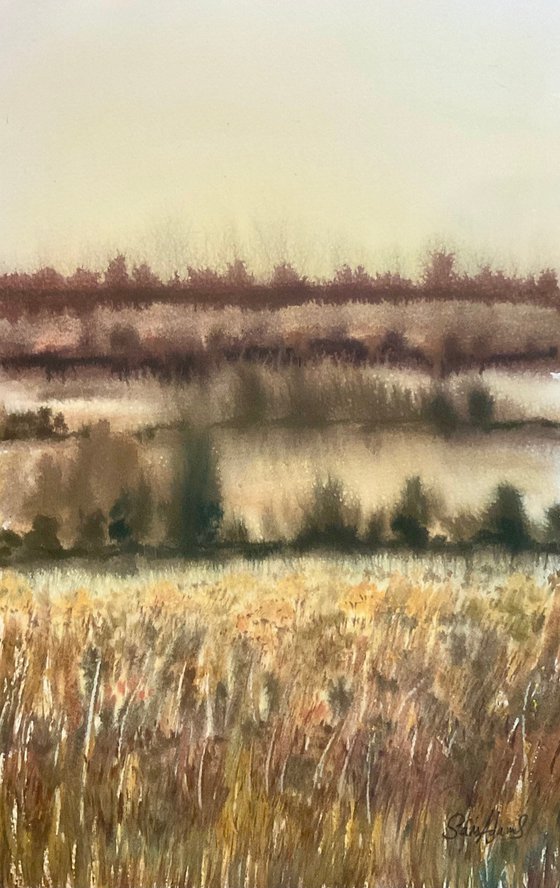 Winter landscape lit