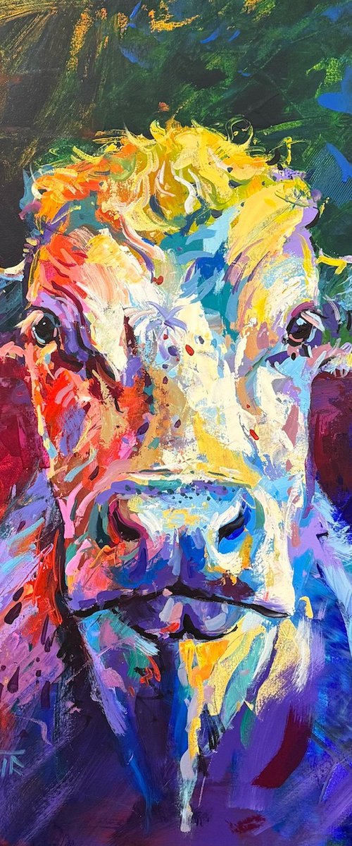 Pearl the Cow by Jos Coufreur