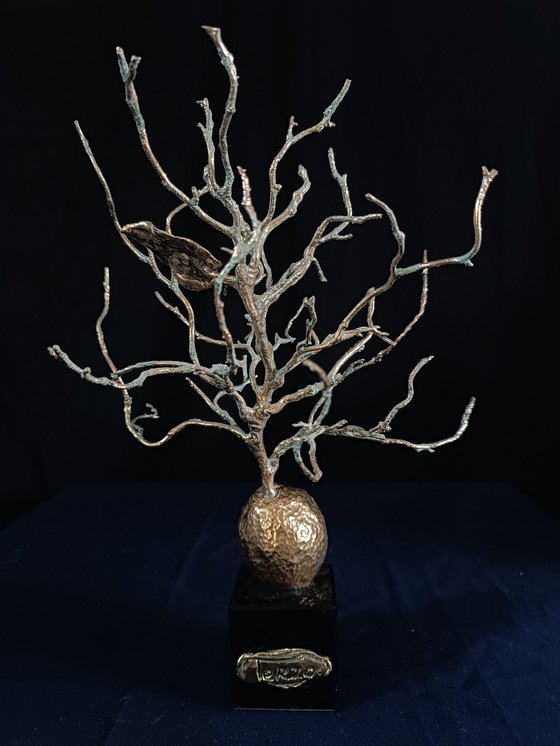 Apricot