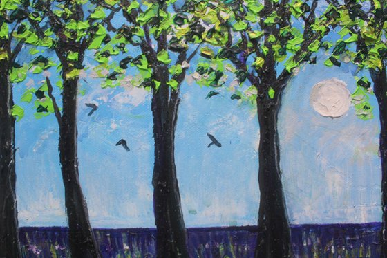 Micheldever Morning VI