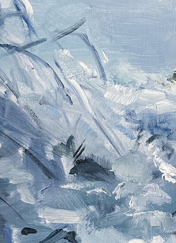 Winter in Central Park