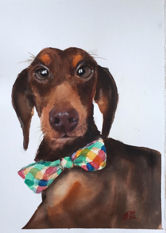Mister Doggy...  / FROM THE ANIMAL PORTRAITS SERIES /  ORIGINAL PAINTING