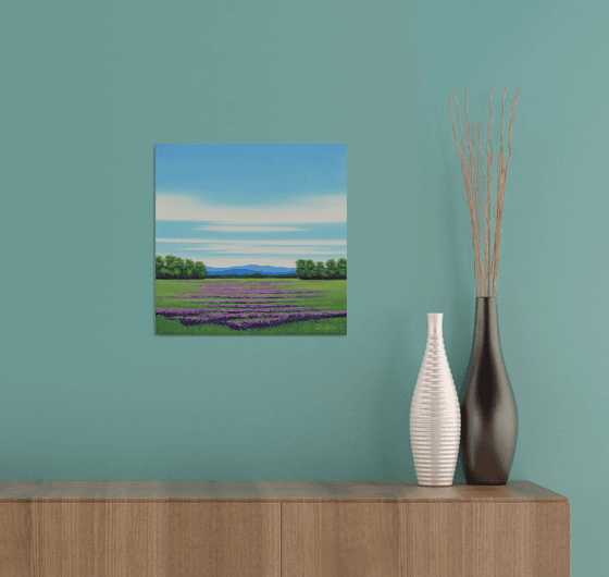 Lavender Field - Flower Field