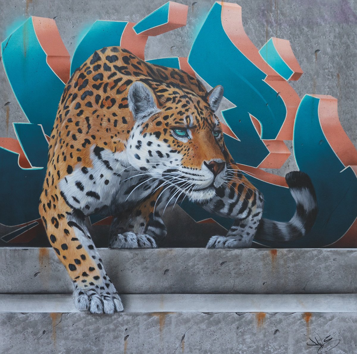 The Jaguar by Dave Baranes