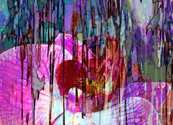 Abstract Pink Orchid