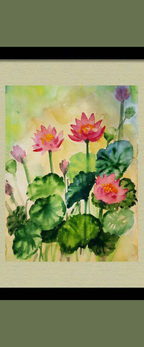 Sunset Water lilies 2 by Asha Shenoy
