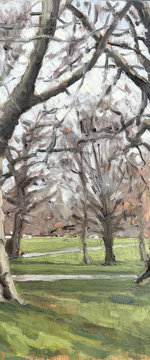 Winter trees on Clapham Common by Louise Gillard