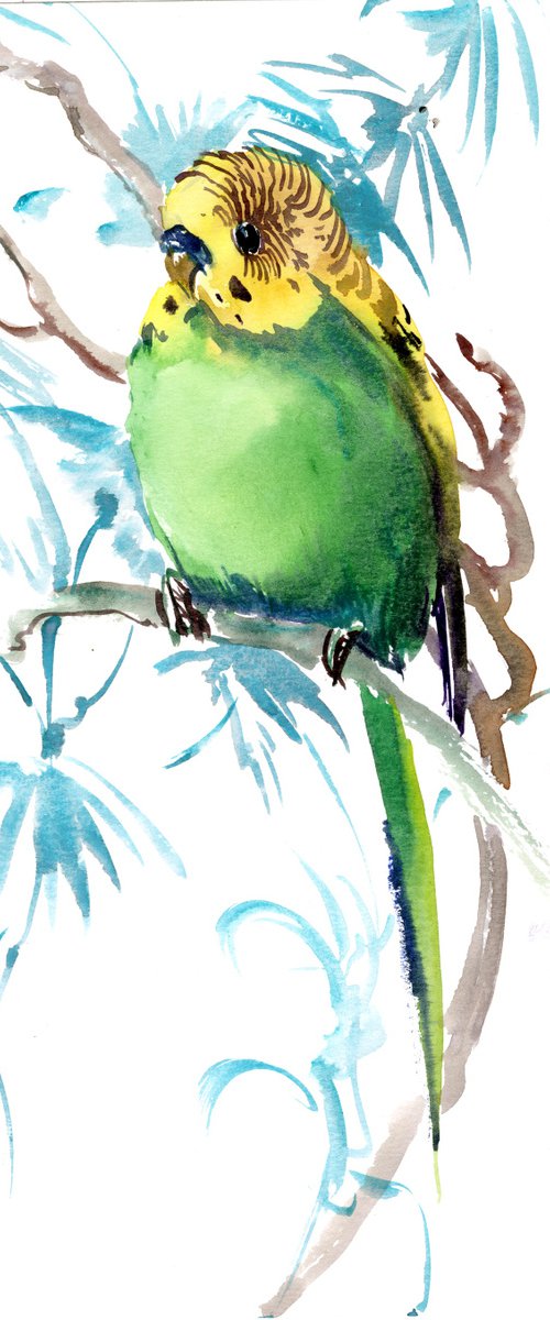 Budgie, Parakeet painting by Suren Nersisyan