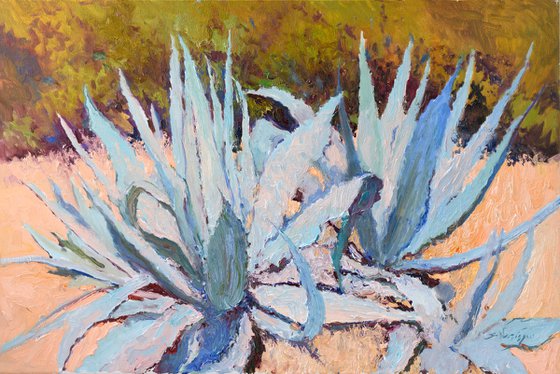 Blue Agaves