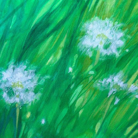 Dandelions 50x40 cm