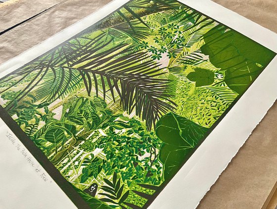 Inside the Palm House at Kew