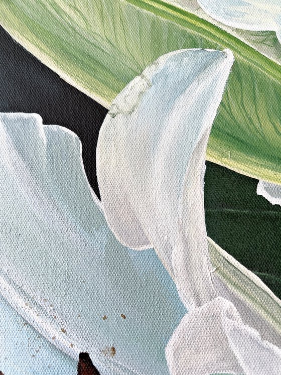 A Lifetime Companion – White Lilies