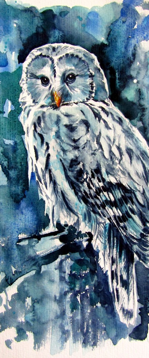 Owl in the forest by Kovács Anna Brigitta