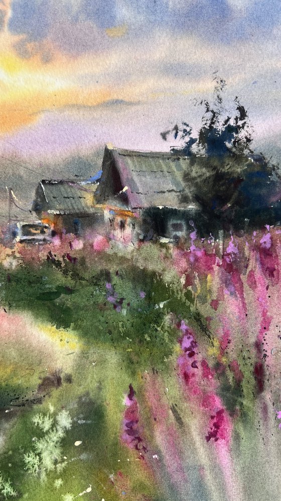 Where Fireweed Blooms