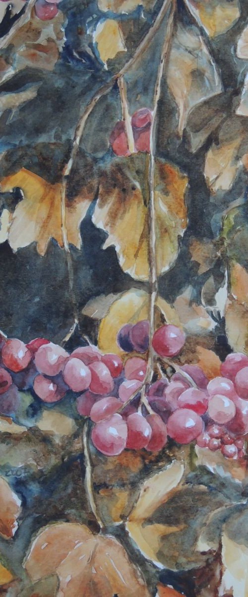 Autumn berries by Krystyna Szczepanowski