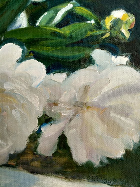 Peonies