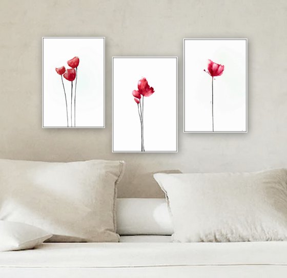 Poppies. Set of 3 Floral Artworks.