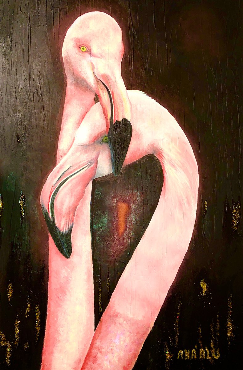 Comfortably Numb: Flamingly Flamingos by Andrew (Ana` Alu) Hollimon