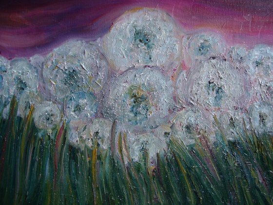 Field of dandelions
