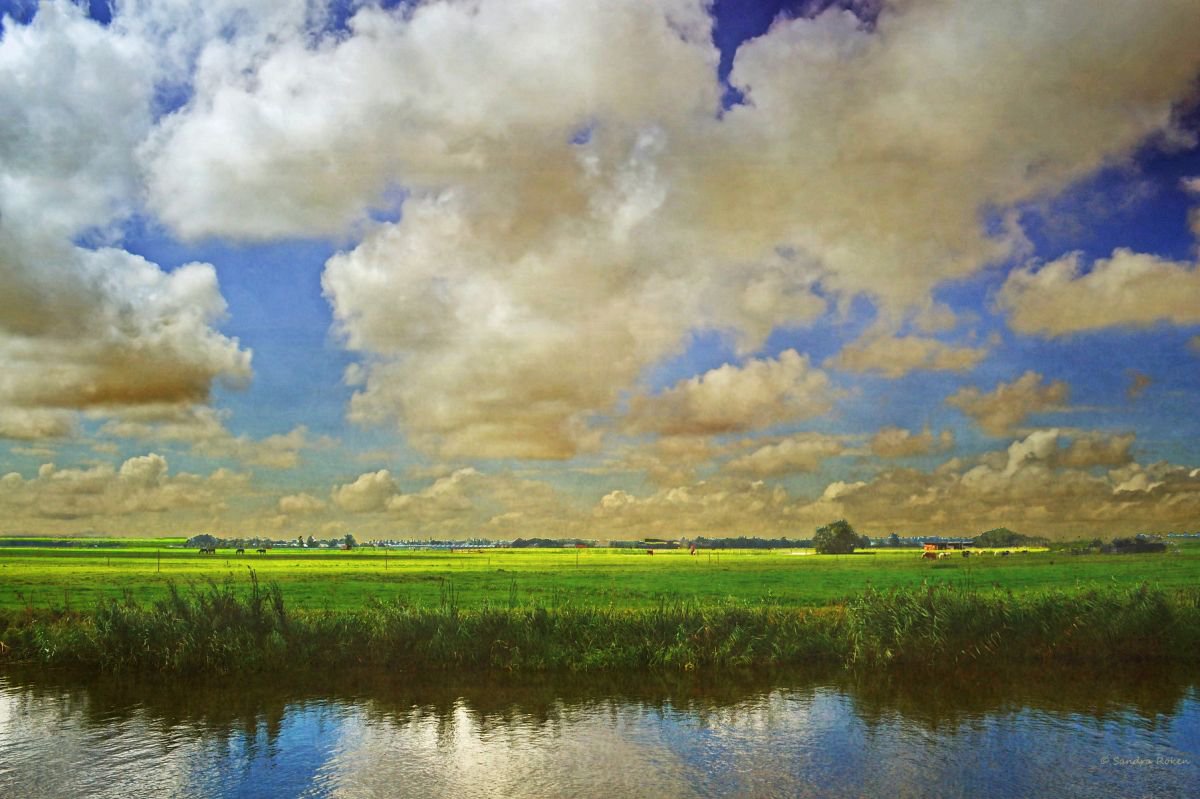 Dutch Light by Sandra Roeken