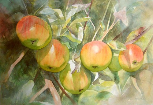 Apples by Natalia Salinas Mariscal