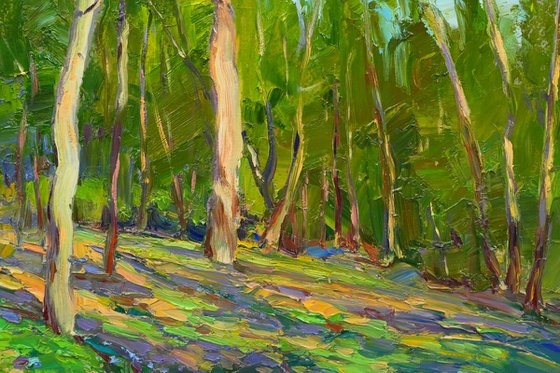 Spring forest
