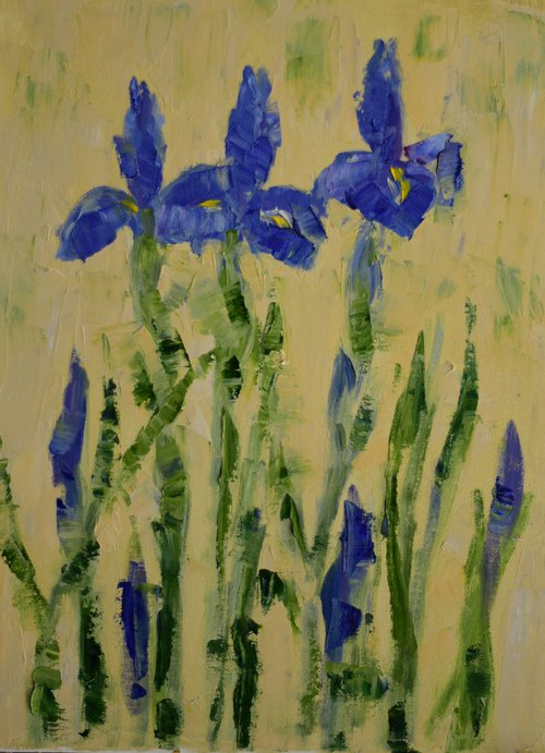 Irises by Elena Zapassky