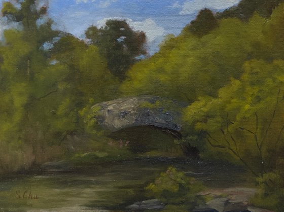 The Gapstow Bridge, Summer