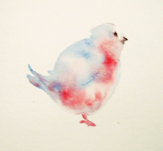 Pink and blue bird