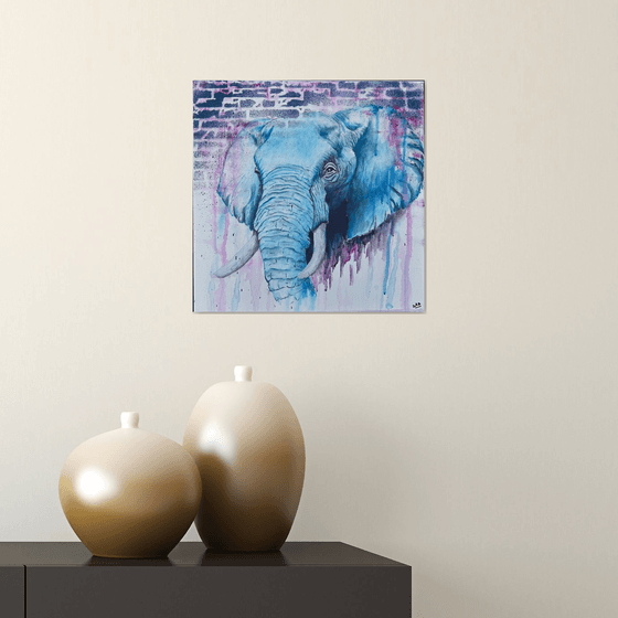 Elephant Pink 'n' Blue