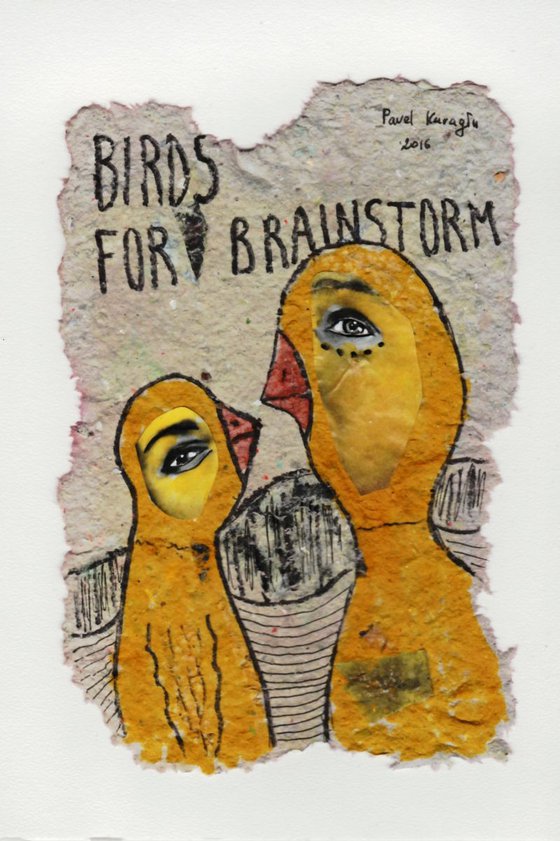 Birds for brainstorm