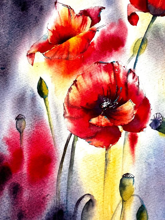 Red Poppy Flowers, Original floral watercolour painting