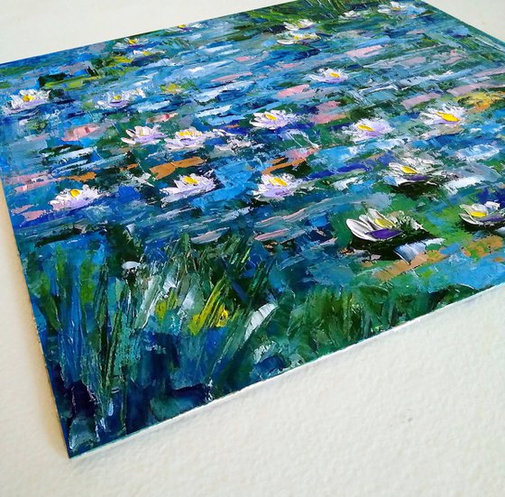 Water Lily