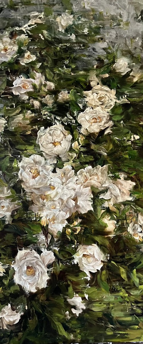 GARDEN ROSES by Elena Mashajeva-Agraphiotis