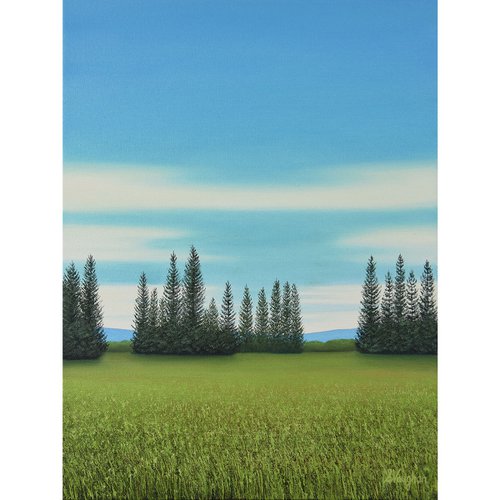 Evergreens - Blue Sky Landscape by Suzanne Vaughan