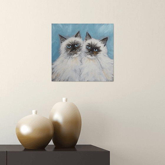 Himalayan cats