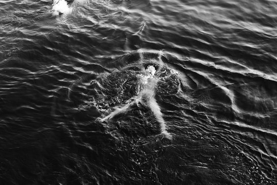 Form Within the Flow