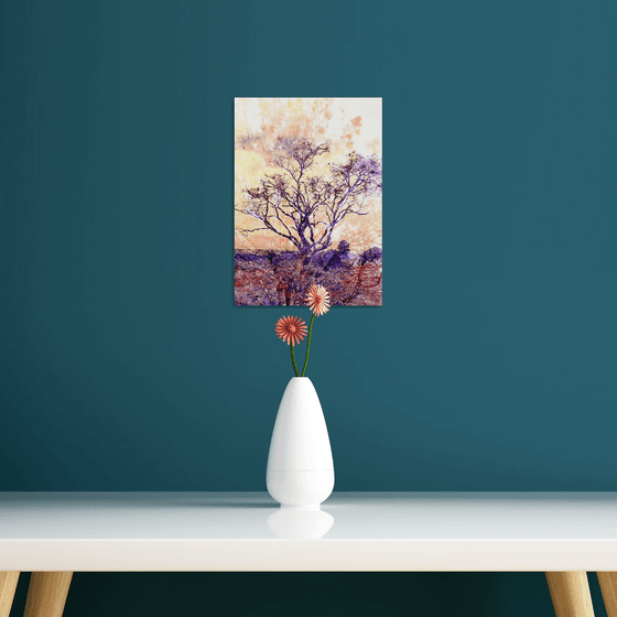 Lonely tree - A4