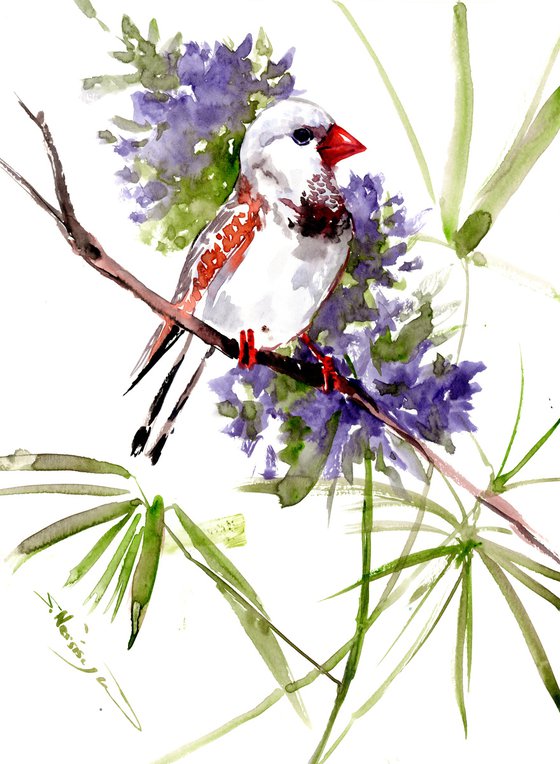 Zerba FInch Bird and Flowers, Watercolor Bird painting