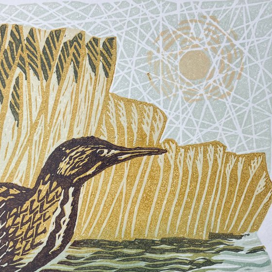 Bittern in the Reeds