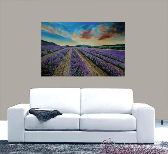 Lavender field 2