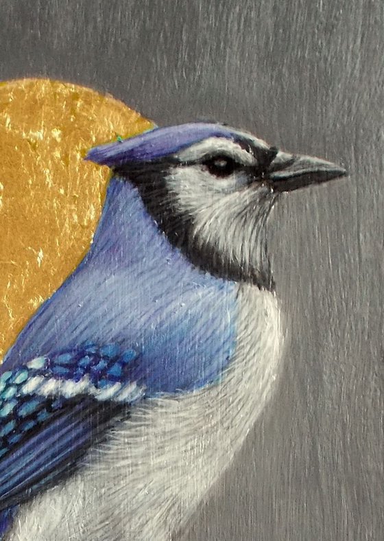 "Blue jay"