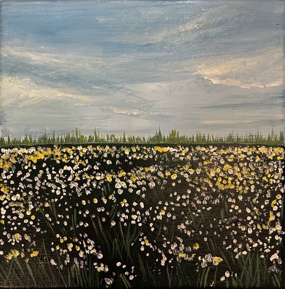 Fields of gold