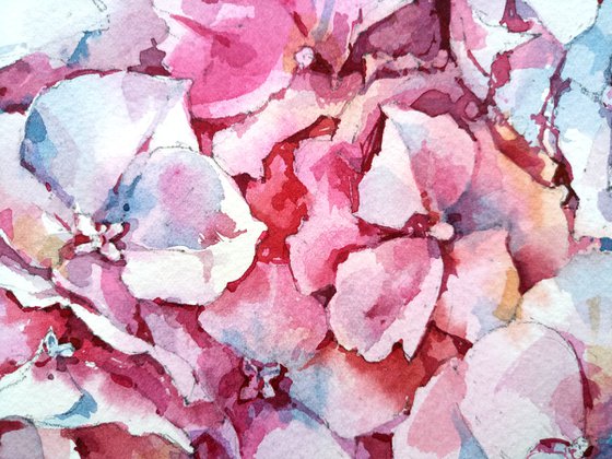 Original watercolor painting "Thousand Shades of Hydrangea Flowers"