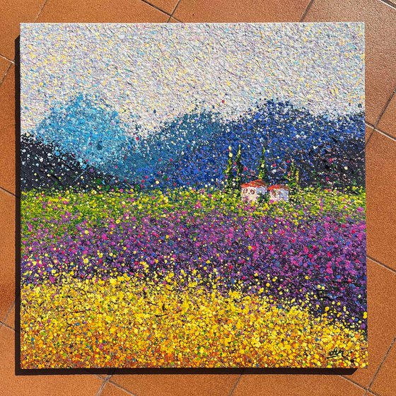 Lavender Dreams