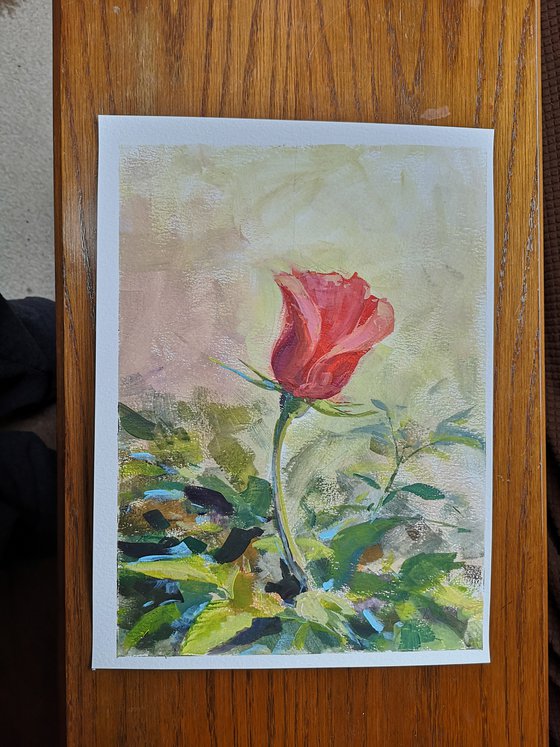 "Red rose" (acrylic on paper painting) ( 11x15×0.1'')